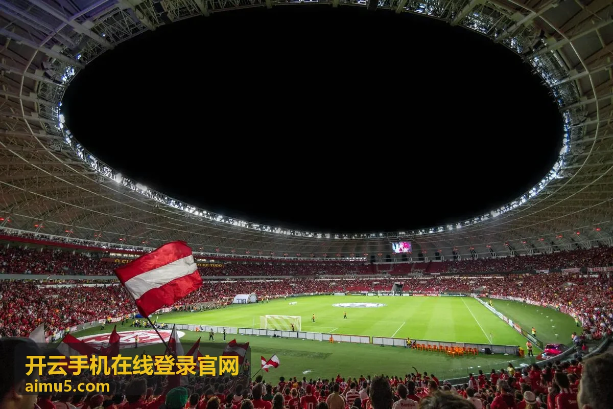 开云手机在线登录官网在折叠屏与平板上的分栏显示